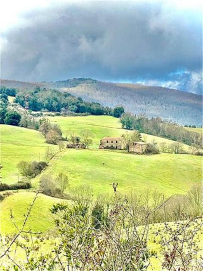 Beautiful Apartment With Exclusive Garden And Terrace Monteverdi Marittimo Esterno foto